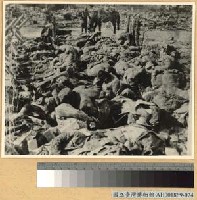 藏品(南京大屠殺：屍坑)的圖片